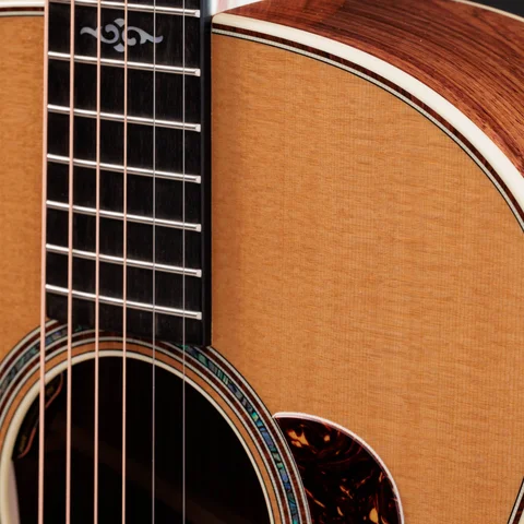 2024年の新アコースティックギター | Taylor Guitars